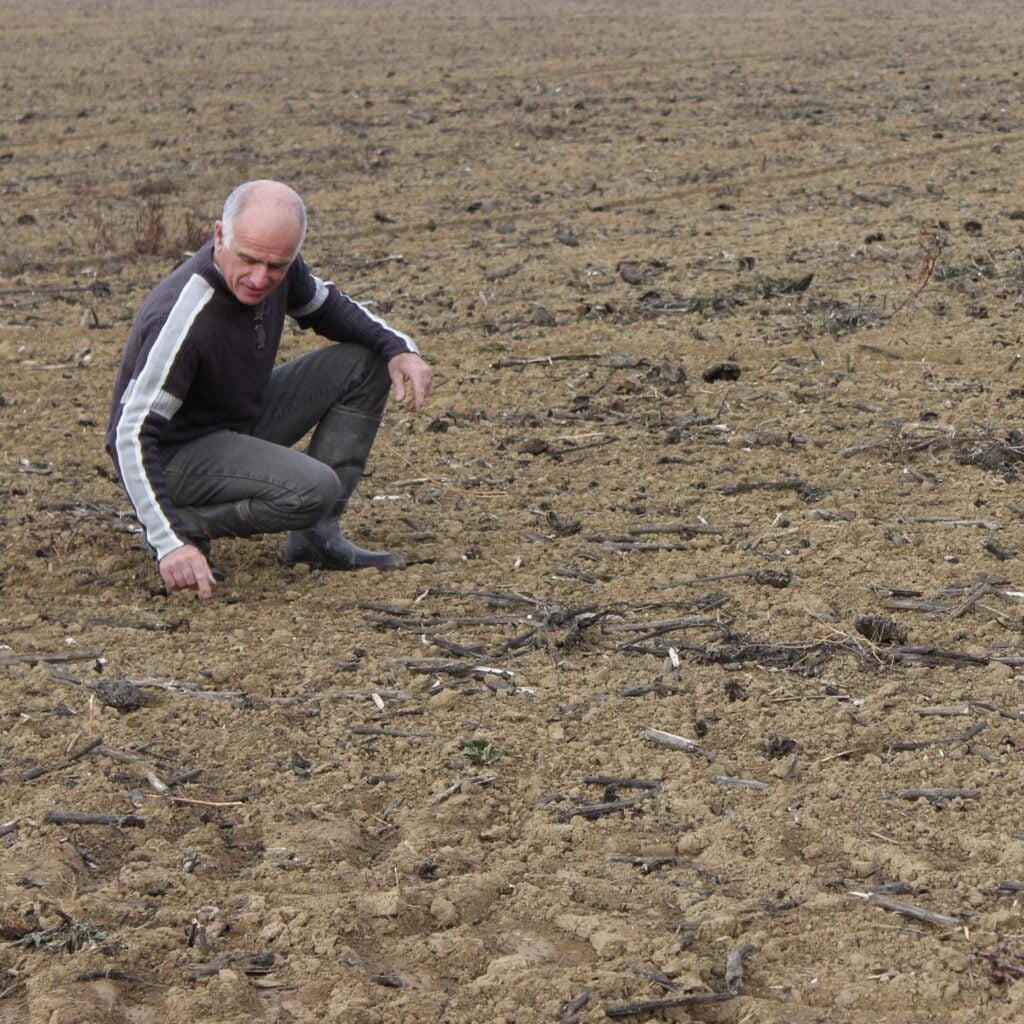 Jacques dans les champs de la ferme de La Barthe, agriculture biologique et céréalière en Haute-Garonne sur la commune de Le Fousseret 31430
